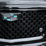 STRUT Grille 